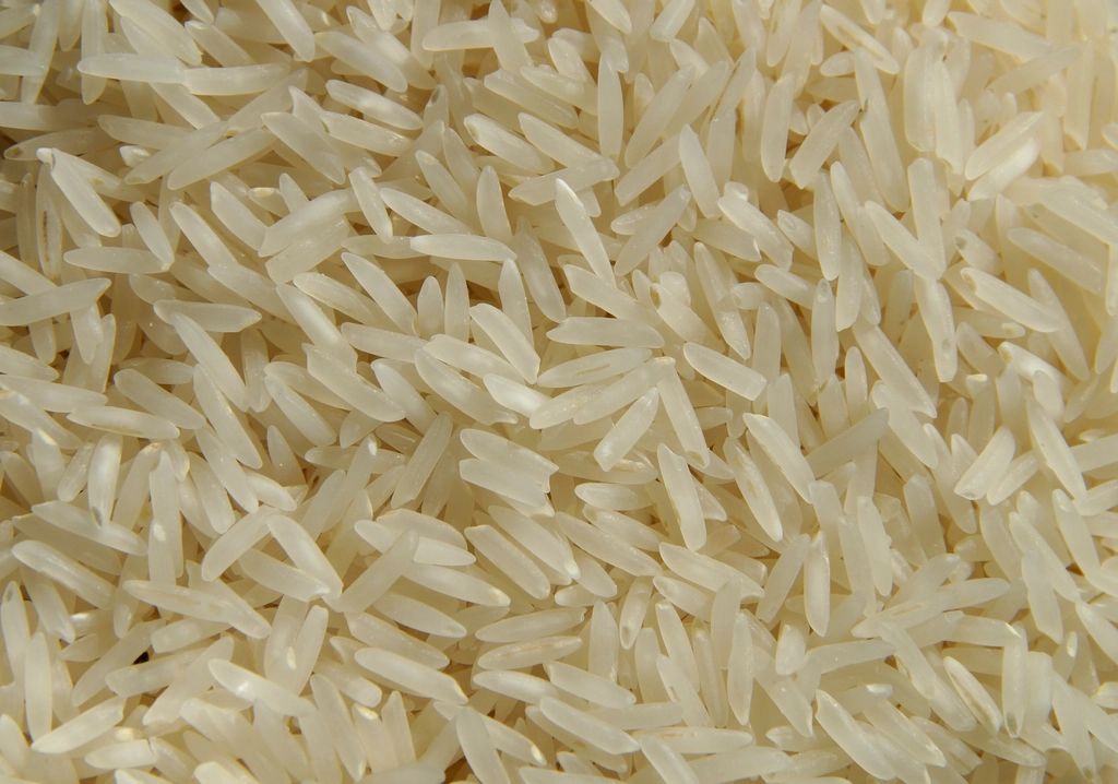 Cooked jasmine rice